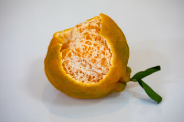 polcan tangerine isolated in selective focus