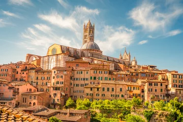 Fotobehang Toscane Siena, medieval town in Tuscany, with view of the Dome & Bell Tower of Siena Cathedral,  Mangia Tower and Basilica of San Domenico, Italy  © Zedspider