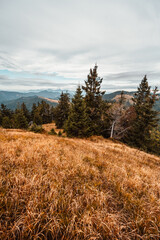 Hiking in mountains rakytov peak  to Smrekovica. Tourist traveler. Hiking in Slovakia mountains landscape. Velka Fatra national park, Slovakia.