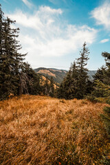 Hiking in mountains rakytov peak  to Smrekovica. Tourist traveler. Hiking in Slovakia mountains landscape. Velka Fatra national park, Slovakia.