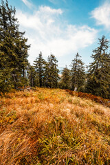Hiking in mountains rakytov peak  to Smrekovica. Tourist traveler. Hiking in Slovakia mountains landscape. Velka Fatra national park, Slovakia.