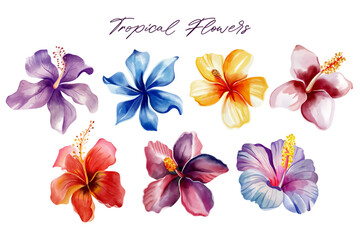 Watercolor tropical flowers. Floral illustration. Set of exotic flowers. Tropical collection © Hanna ArtLab
