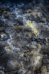 river and rocks