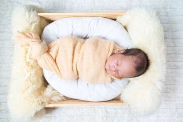 Fototapeta premium Portrait of Newborn baby in costume sleeping in baby case