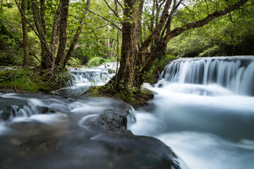 cascada. paisaje idílico 