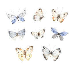Naklejka premium Set of abstract watercolor butterflies. Isolated hand drawn collection delicate butterflies for your design cards, poster, banner or background.