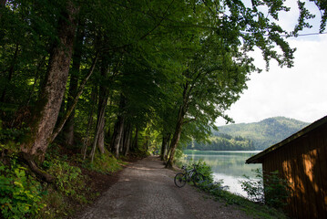 view of the lake Alpsee