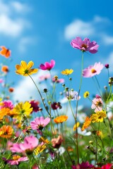 Fototapeta premium Colorful Wildflower Garden: Nature's Palette blurred background