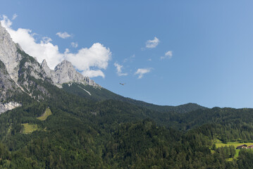 Naklejka premium View of the Alpine mountains and bird