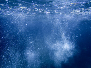 bubbles, bubbles undersea, undersea, green water, underwater, crystal sea, background, sea, bubble,...