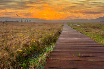Wooden bridge in the meadow, sunset in the distance