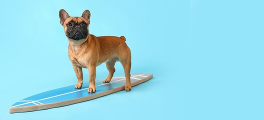 Cute French bulldog with surfboard on blue background with space for text