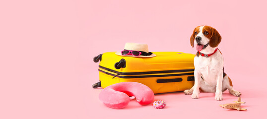 Cute Beagle dog with suitcase and travel things on pink background