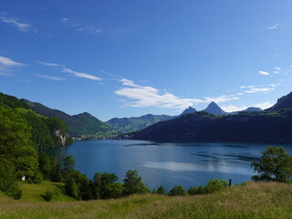 Fototapeta premium Blick von der Rütli-Wiese über den Vierwaldstättersee