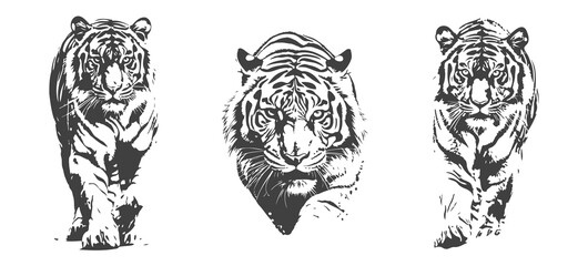Obraz premium set of tiger silhouettes, black and white vector design, generated ai