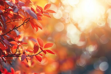Fototapeta premium Close-up view of tree with red leaves