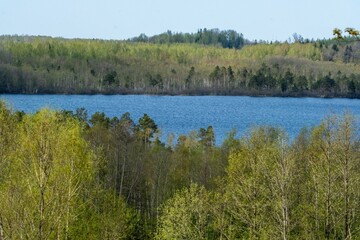 Scenic Forest Lake in Spring