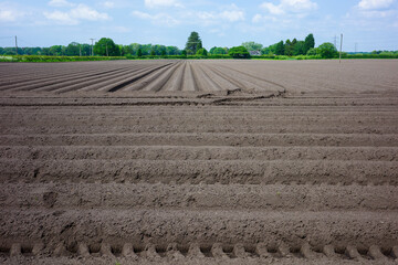 Wide view of freshly plowed agricultural fields with neat furrows under a bright blue sky and scattered clouds in a rural setting.