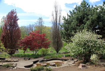 Obraz premium Spring landscape with pond and blooming trees