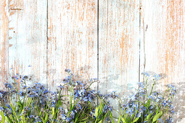 Beautiful spring forget-me-not flowers on a light wooden background, banner. Abstract flower...