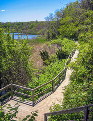 Fototapeta premium boardwalk next to a river