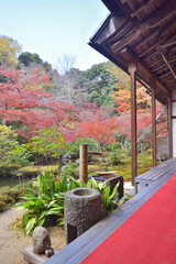 実相院門跡の紅葉