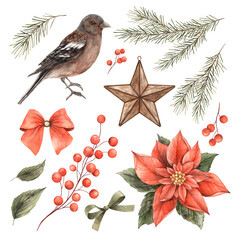 Christmas set with bird, fir branches, poinsettia, red berries. Watercolor Christmas and botanical set in vintage style. Collection for Christmas and New Year holidays, invitations, cards, decorations