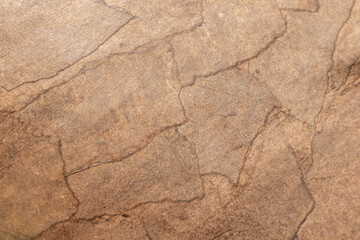 Background texture of paper mache, a composite material