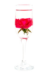 Champagne glass of red rose blossom