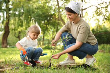 Mother and her daughter planting tree together in garden