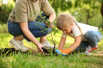 Mother and her daughter planting tree together in garden