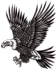 Fototapeta premium Eagle Vector Illustrations