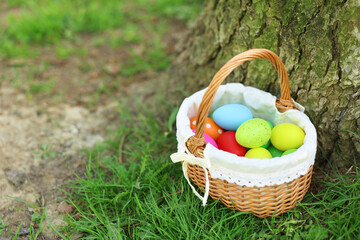 Easter celebration. Painted eggs in wicker basket on green grass, space for text