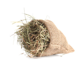Dried hay in burlap sack isolated on white