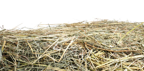 Dried hay isolated on white. Livestock feed