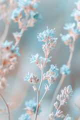 Naklejka premium Soft Pastel Wildflowers on Beige & Blue Background