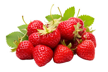 Ripe Delicious Strawberries Bush isolated on transparent background, png, cut out.
