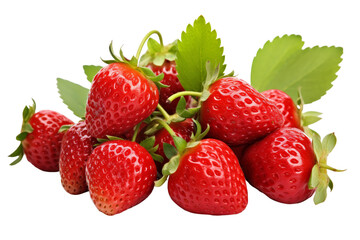 Ripe Delicious Strawberries Bush isolated on transparent background, png, cut out.