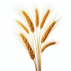Fototapeta premium Wheat isolated on a white background 