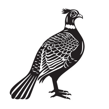 recommend clip art: Pheasant in cartoon, doodle style . Image for t-shirt, web, mobile apps and ui. Isolated 2d vector illustration in logo, icon, sketch style, Eps 10, black and white. AI Generative