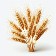 Fototapeta premium Wheat isolated on a white background 