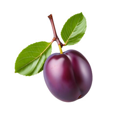 realistic photo of a fresh purple plum on a white background