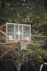 basketball hoop on the playground