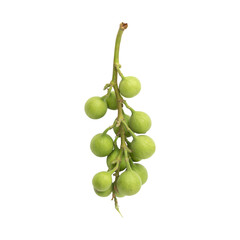 Bunch of green cluster fig isolated on transparent background