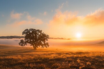 Hazy landscape with a lone tree in the foreground and a foggy field