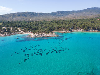 Sithonia coastline near Orange Beach, Chalkidiki, Greece