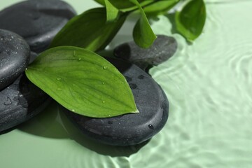 Spa stones and fresh leaves on light green background, closeup