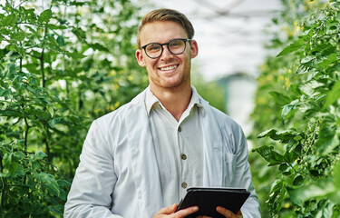 Outdoor, agronomist or man with tablet in portrait for plant research, crop production or info on...