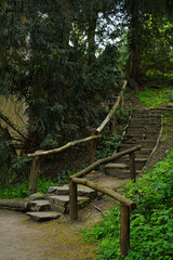 Forest path with stone steps and wooden railings, with green trees and shrubs, atmosphere of...