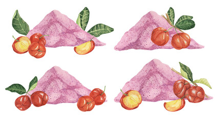 Acerola cherry pink powder set, red Barbados cherry fruits clipart with leaves and flowers. Malpighia watercolor illustration. Superfood vitamin C source for print, packaging, labels, food supplements